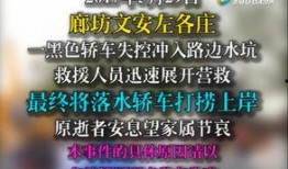 文安网友爆料视频,视频揭露惊人真相！